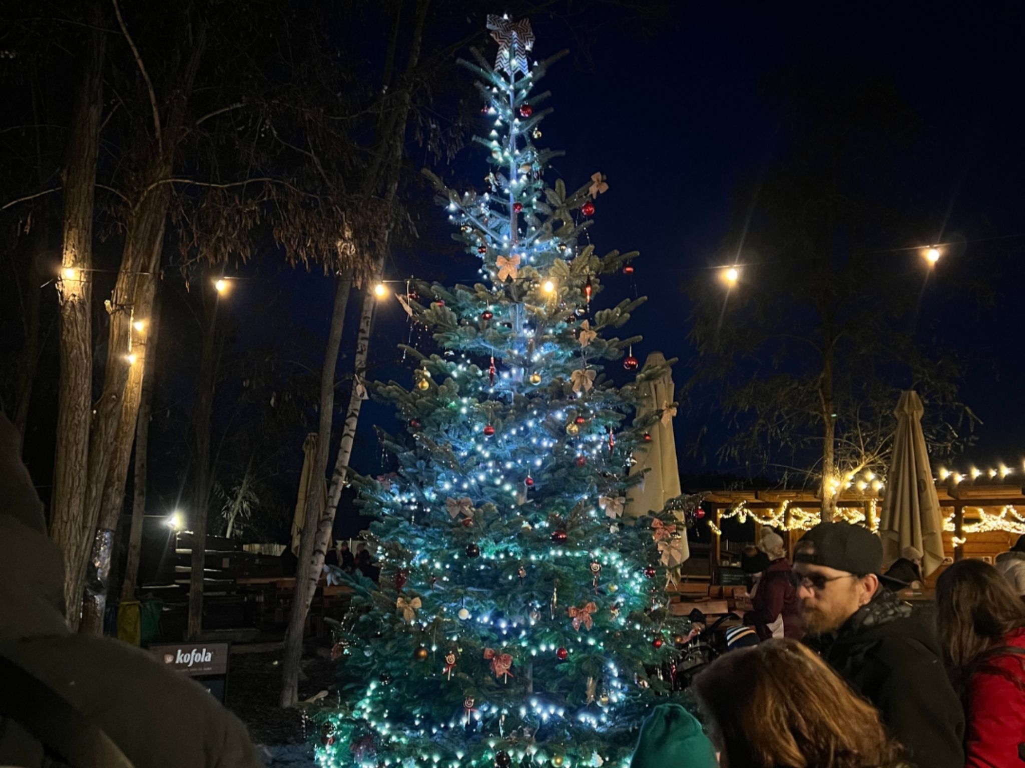 Návrh bez názvu (3)